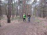 Bosloop Brecht - 02.jpg